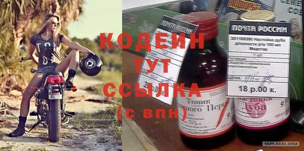 гашик Пестово