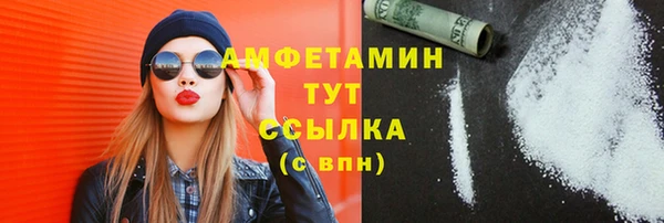 гашик Пестово