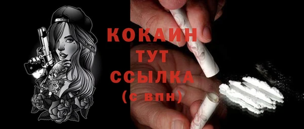 молекула духа Покров