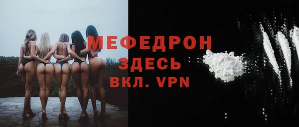 гашик Пестово