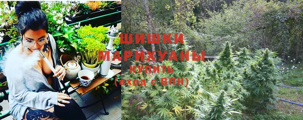 гашик Пестово