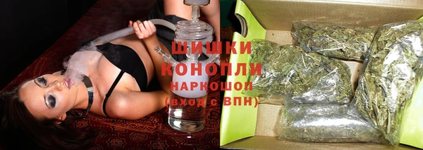 гашик Пестово