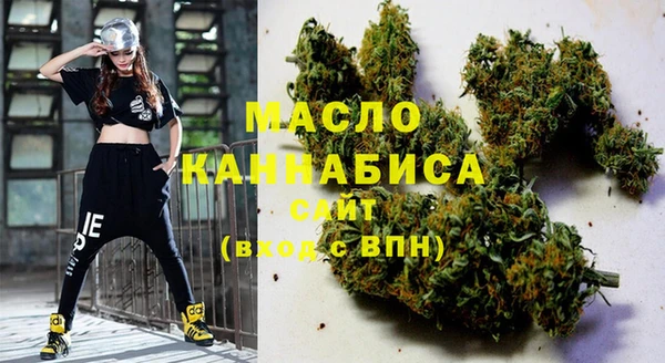 гашик Пестово